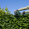 Heckenschnitt / Bild: Fotolia.de © by-studio Nr. 33166175 Heckenschnitt / Bild: Fotolia.de © by-studio Nr. 33166175