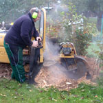 Die Wurzelstockfraese bei der Arbeit Die Wurzelstockfraese bei der Arbeit